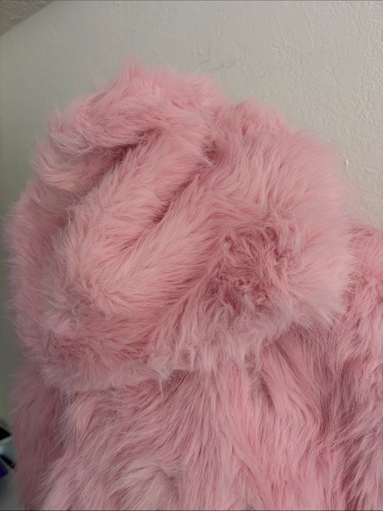 Cropped Plush Teddy Jacket with Hood - Pink Largue